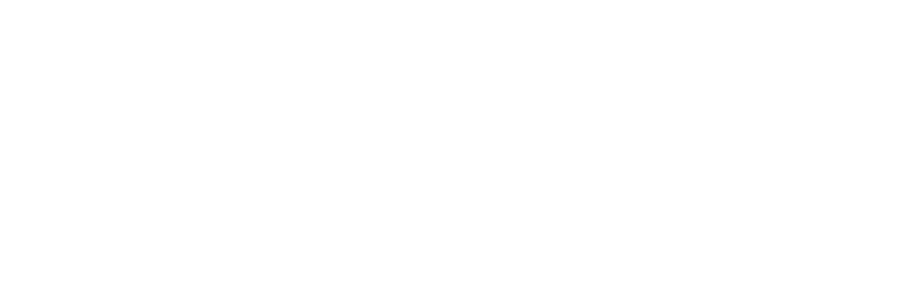 Vizi Lotes Logo Branca